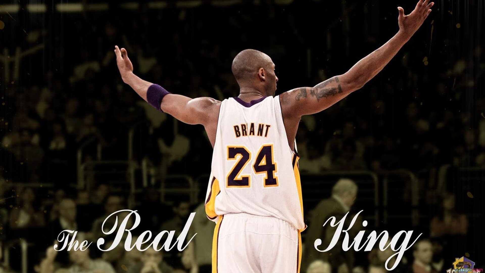 北非砂砾与北欧寒冰的碰撞，谁才是真正的硬仗之王？