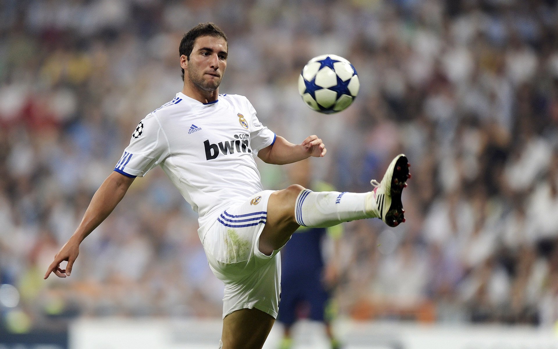 双城记，华沙逆转夜与樊振东的绝对领域