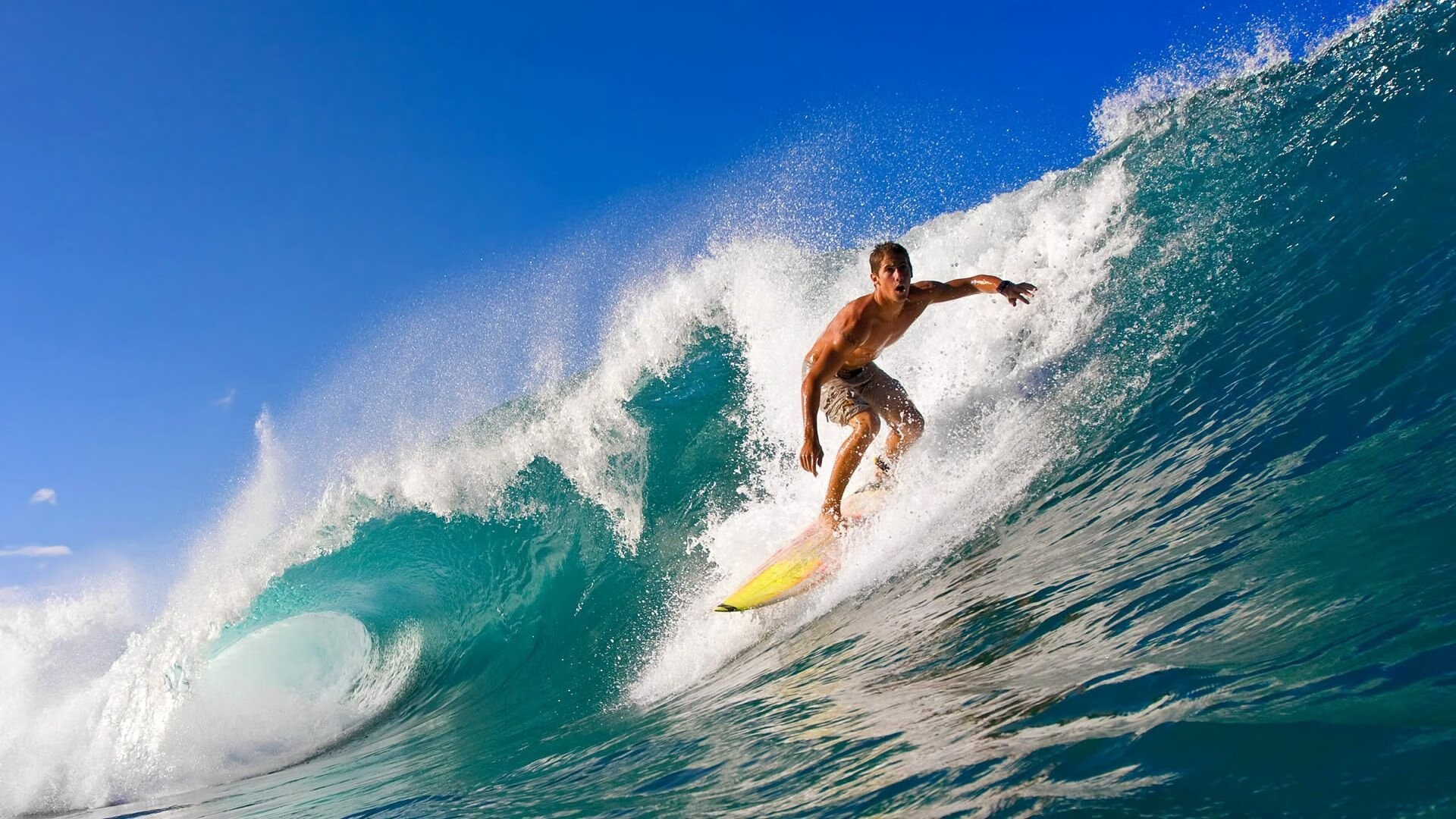 赛道暗战，超越的不止是赛车，更是围场格局的重构